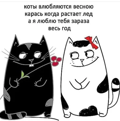 **Фото, которые вызовут улыбку: смешные картинки для хорошего настроения**