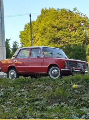 Автомобильные приколы: смешные фотографии с дороги