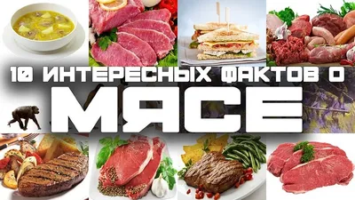 Смешные картинки мясо: смешные фото в Full HD