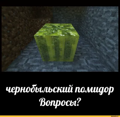 Фото Minecraft: выберите размер и формат - JPG, PNG, WebP