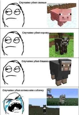 Смешные картинки Minecraft: выберите размер изображения