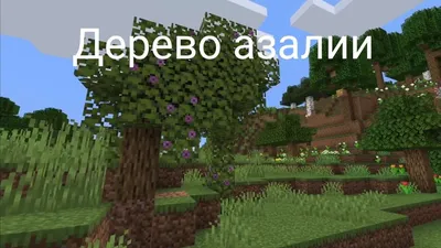 Фотографии Minecraft в хорошем качестве