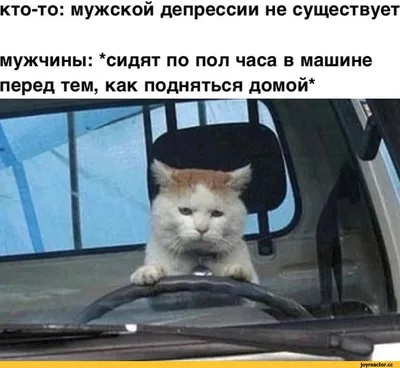 Фотографии мужчин, которые вызывают смех