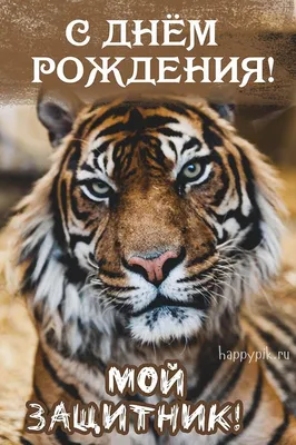 Смешные картинки мужу от жены: скачать бесплатно в хорошем качестве