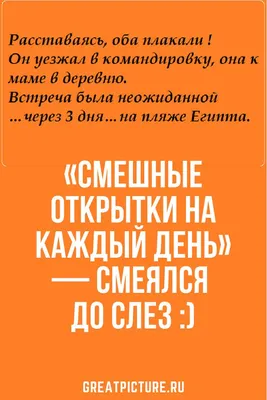 Улыбнитесь сегодня: смешные картинки на каждый день!