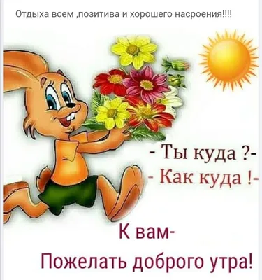 Новые смешные картинки каждый день: улыбайтесь с нами!