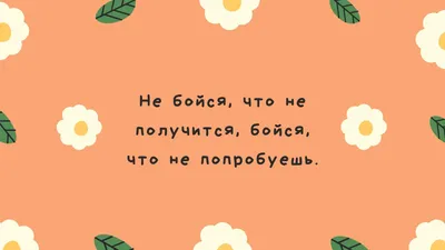 Смешные картинки на обоях: как поднять настроение с помощью дизайна