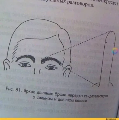 Смешные картинки бровей для развлечения