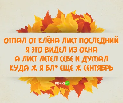 Новые смешные картинки на тему осень. Выберите размер изображения и скачайте в форматах JPG, PNG, WebP.