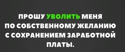 Новые смешные картинки на тему работы: скачать в HD