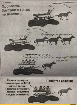 Фото, которые докажут, что работа - это не только строгость