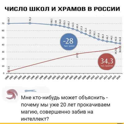 Фотографии, которые поднимут настроение школьникам