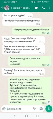 Веселые картинки для вашего ватсапа