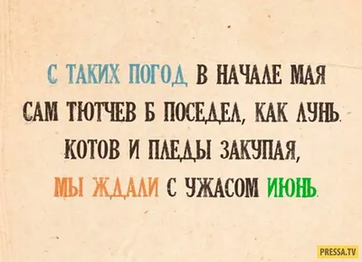 18) Смешные картинки о холодном лете - новые фото для вашего смеха