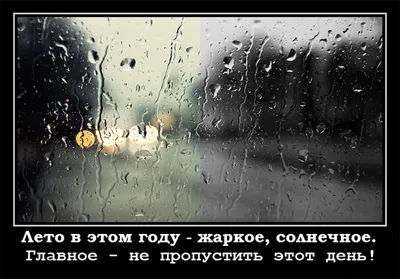 20) Смешные картинки о холодном лете - выберите изображение для вашего настроения