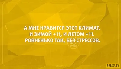 28) Смешные картинки о холодном лете - выберите изображение для вашего настроения