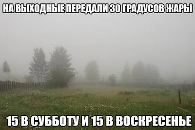 30) Смешные картинки о холодном лете - новые фото для вашего смеха