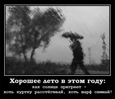 6) Смешные картинки о холодном лете - бесплатно скачать в хорошем качестве