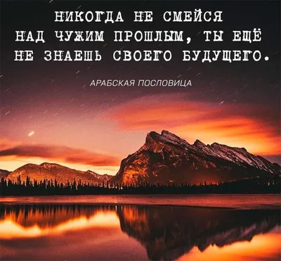 Смешные картинки о смысле жизни: выберите размер изображения для скачивания