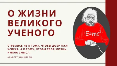 Смешные картинки о смысле жизни: улыбнитесь и взгляните на жизнь с другой стороны!