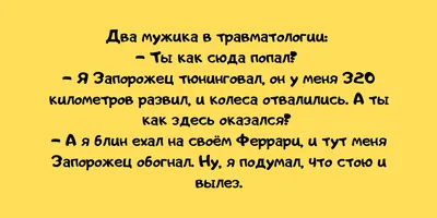 Смешные картинки о водителях: скачать новые изображения бесплатно