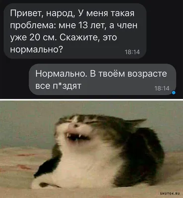 **Фотографии, которые поднимут настроение: смешные картинки о возрасте**