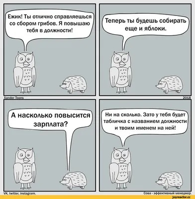 Смешные картинки о зарплате: что скрывается за этими фото? Какие идеи они могут вдохновить?