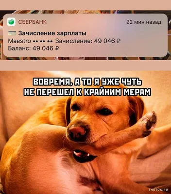 Смешные картинки о зарплате jpg