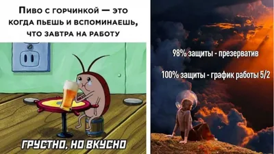 Новые смешные фото: для радостного настроения!