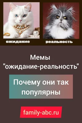 Фотографии, чтобы улыбнуться: ожидание vs реальность