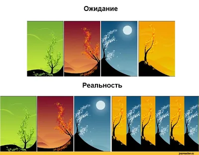 Веселые снимки: ожидание и реальность в картинках