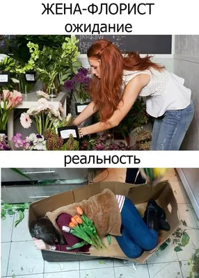 HD фото смешные: ожидание vs реальность