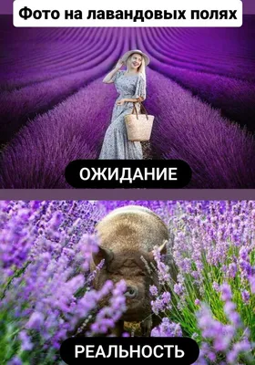 Full HD фото смешные: ожидание vs реальность (1)