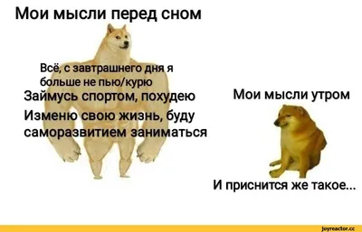 Смешные картинки перед сном