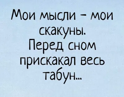 Смешные картинки перед сном: выбери размер изображения и формат