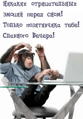 WebP фото смешных моментов