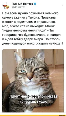 Картинки пьяных людей, которые вызовут улыбку