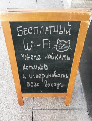 Смешные картинки полных женщин: гарантированный смех и радость