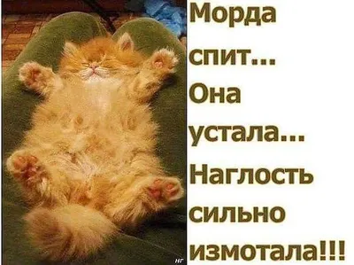 Фотографии, которые поднимут вам настроение перед сном