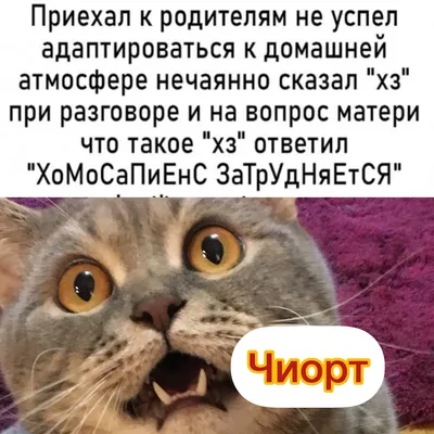 Фотографии, которые заставят вас улыбнуться и посмеяться