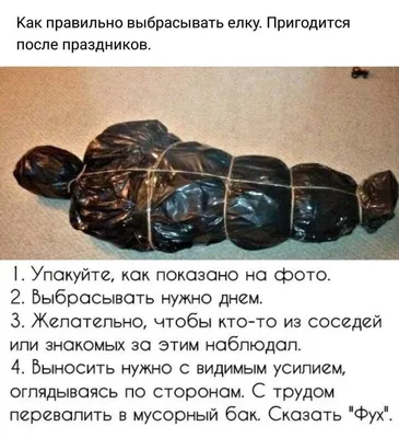 Забавные снимки после корпоратива, которые покажут, как весело провели время!