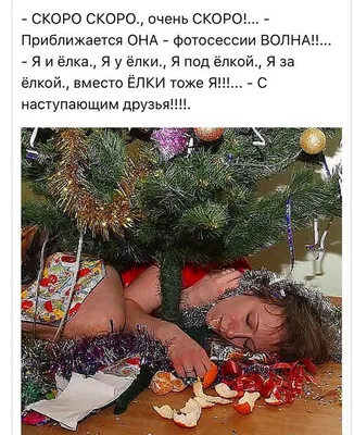 Новогодние смешные картинки: выбери размер и скачай в формате JPG, PNG, WebP