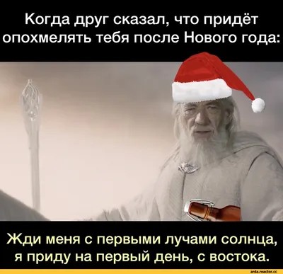 Новогодние смешные картинки: выбери размер и скачай в формате JPG, PNG, WebP