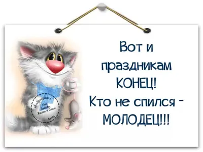 Смешные картинки после нового года: скачать бесплатно в хорошем качестве