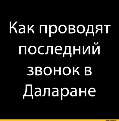 Фото с последнего звонка: выберите размер изображения и формат для скачивания (JPG, PNG, WebP)