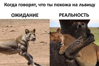 Не упусти возможность посмотреть смешные фото!