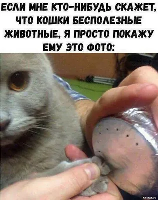 Фото, которые вызовут улыбку на лице!