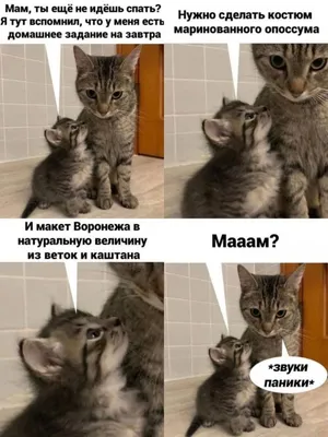 Фото, которые заставят тебя улыбаться!