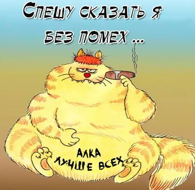 18) Смешные фото про аллу: новое изображение в формате JPG, PNG, WebP