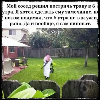 Фотографии аллы в формате png